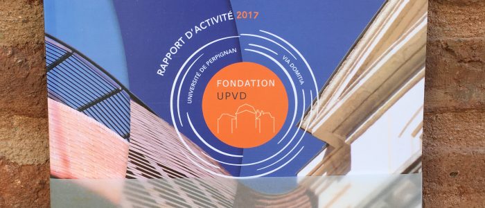 rapport activités 2017